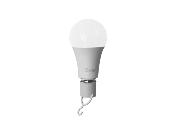 Surge LED Bulb (2/8/10)