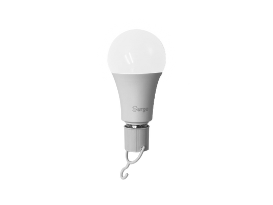 Surge LED Bulb (4/8/10)