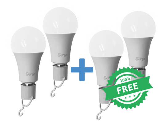 Buy 2 Get 2 FREE Surge Bulbs